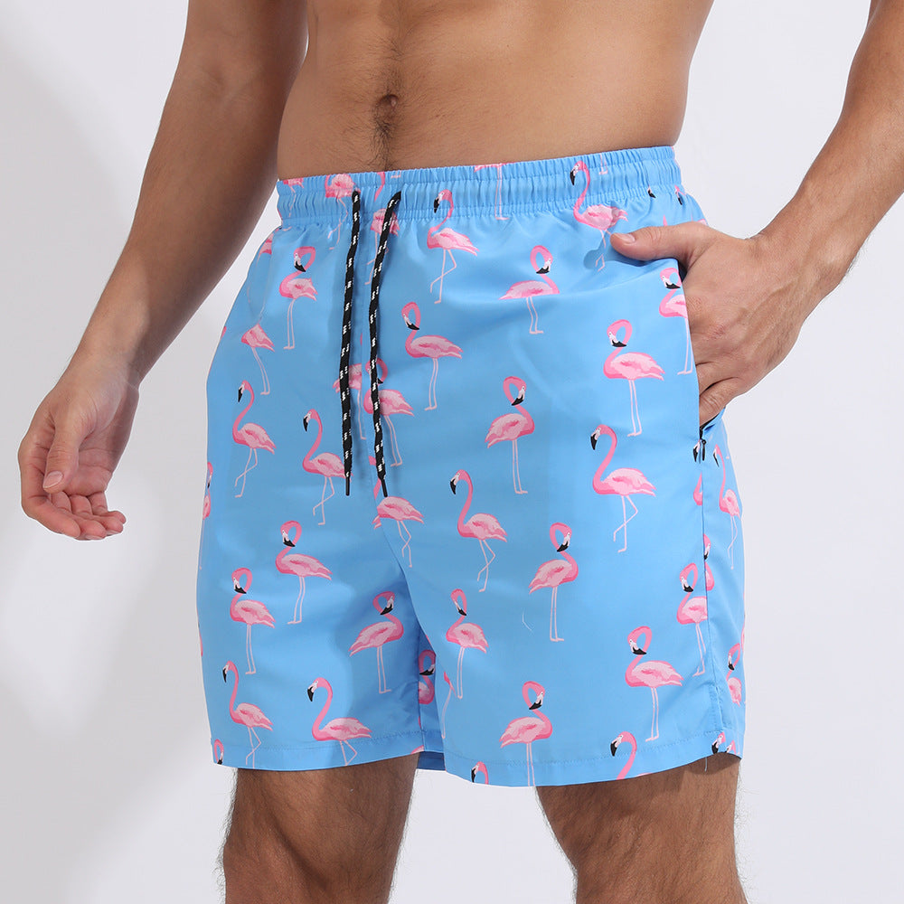 Blue Flamingo