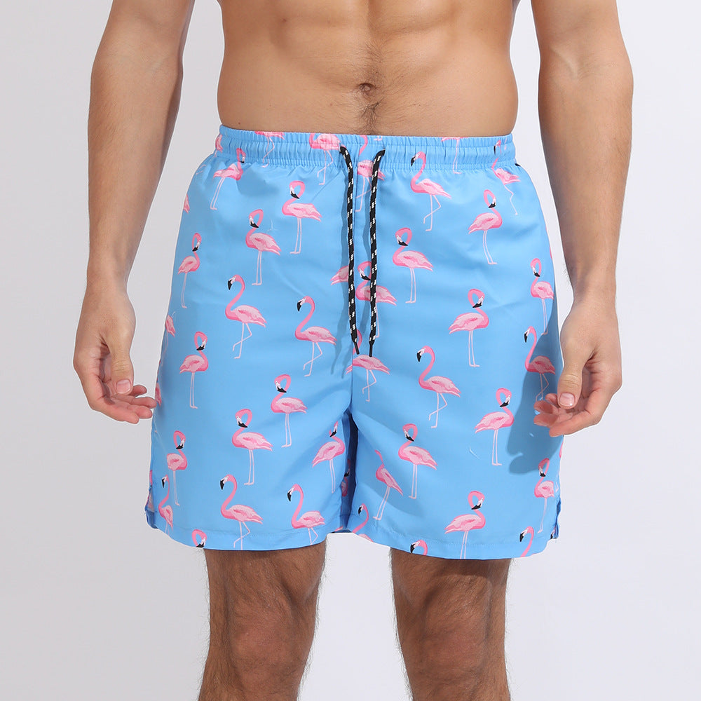 Blue Flamingo